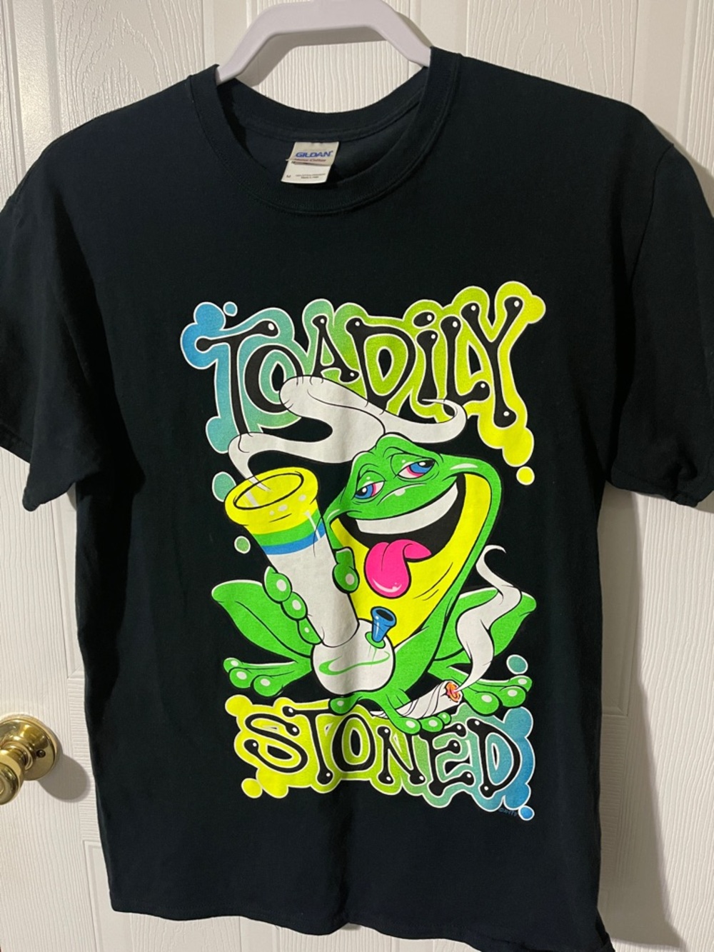 Gildan Black Mens Short Sleeve Tee with Neon Green & Yellow Frog Graphic